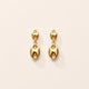 Gold Earring Combo Pack