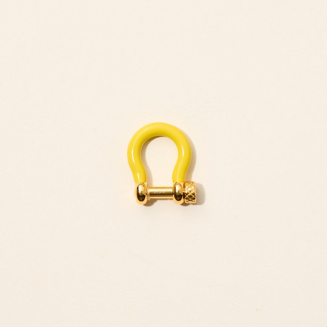 Lemon Yellow Carabiner