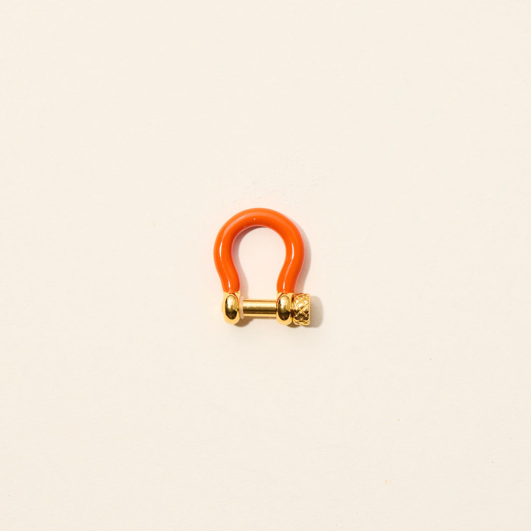 Neon Orange Carabiner