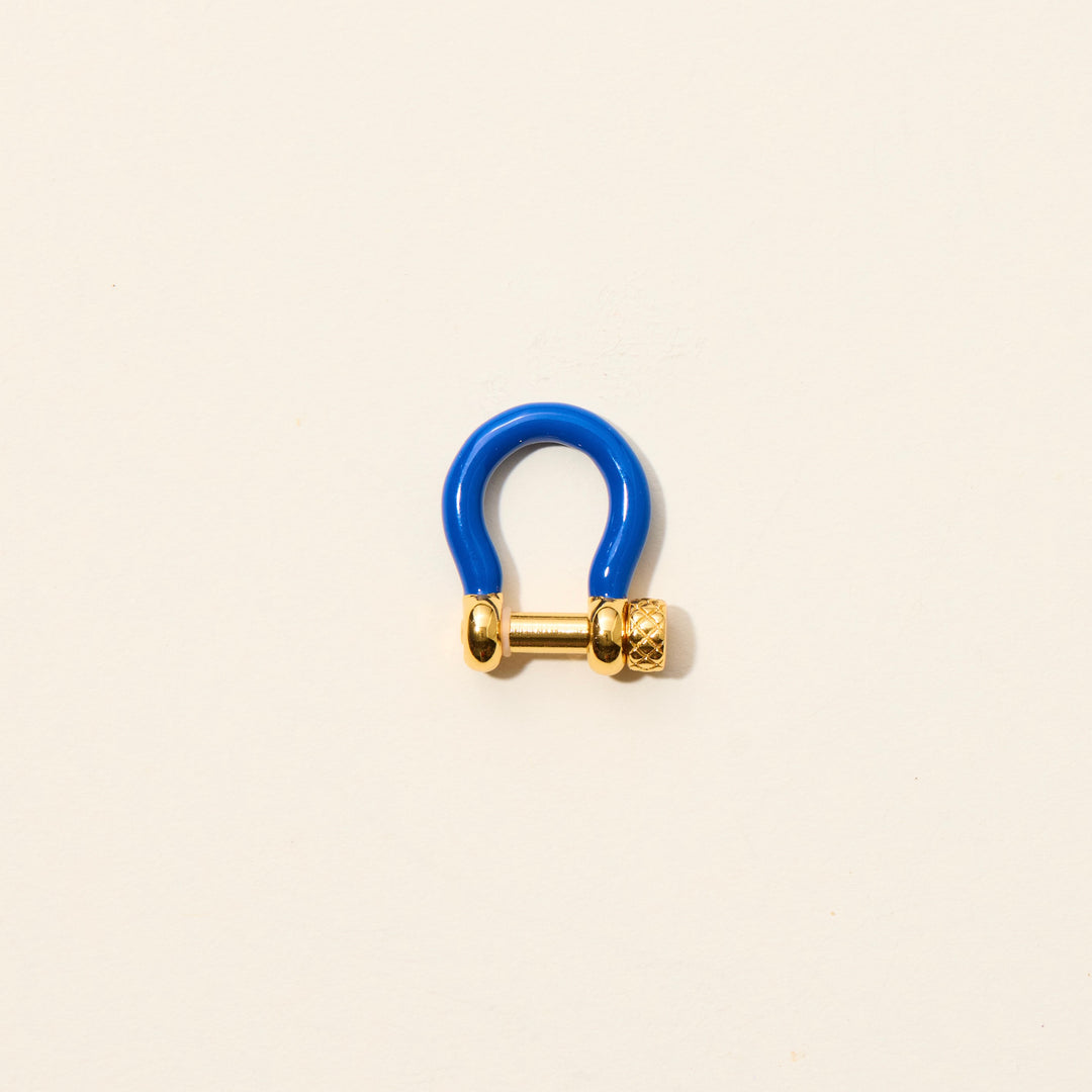 Royal Blue Carabiner