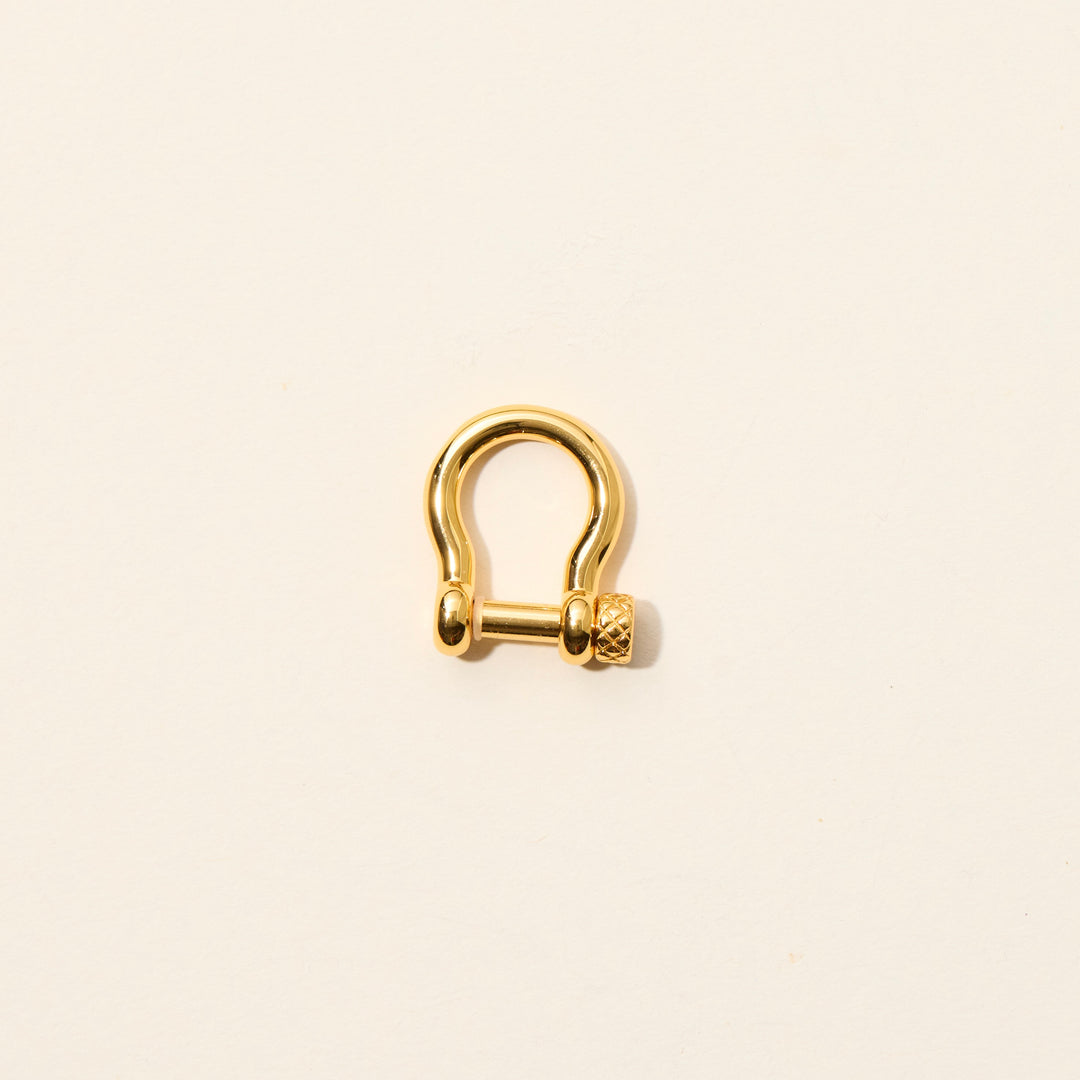 Gold Carabiner