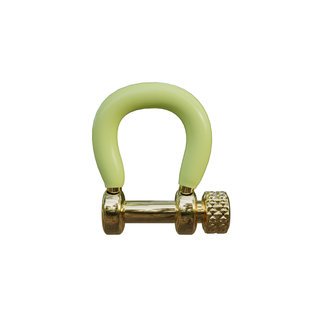 Neon Green Carabiner