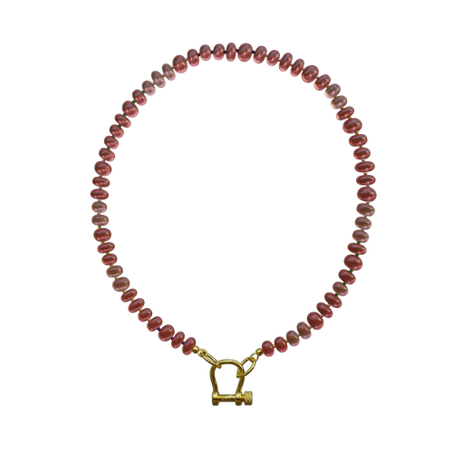 Parke New York Apple