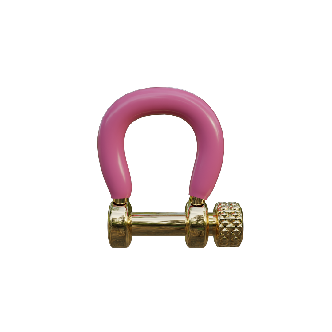 Pink Carabiner